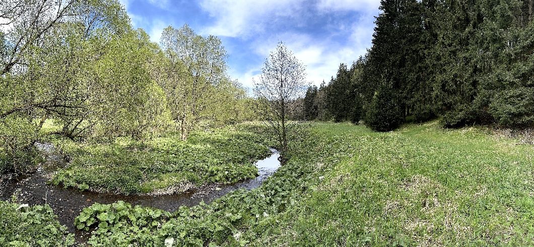 Działka z górskim potokiem, bez pośredników 76 arów