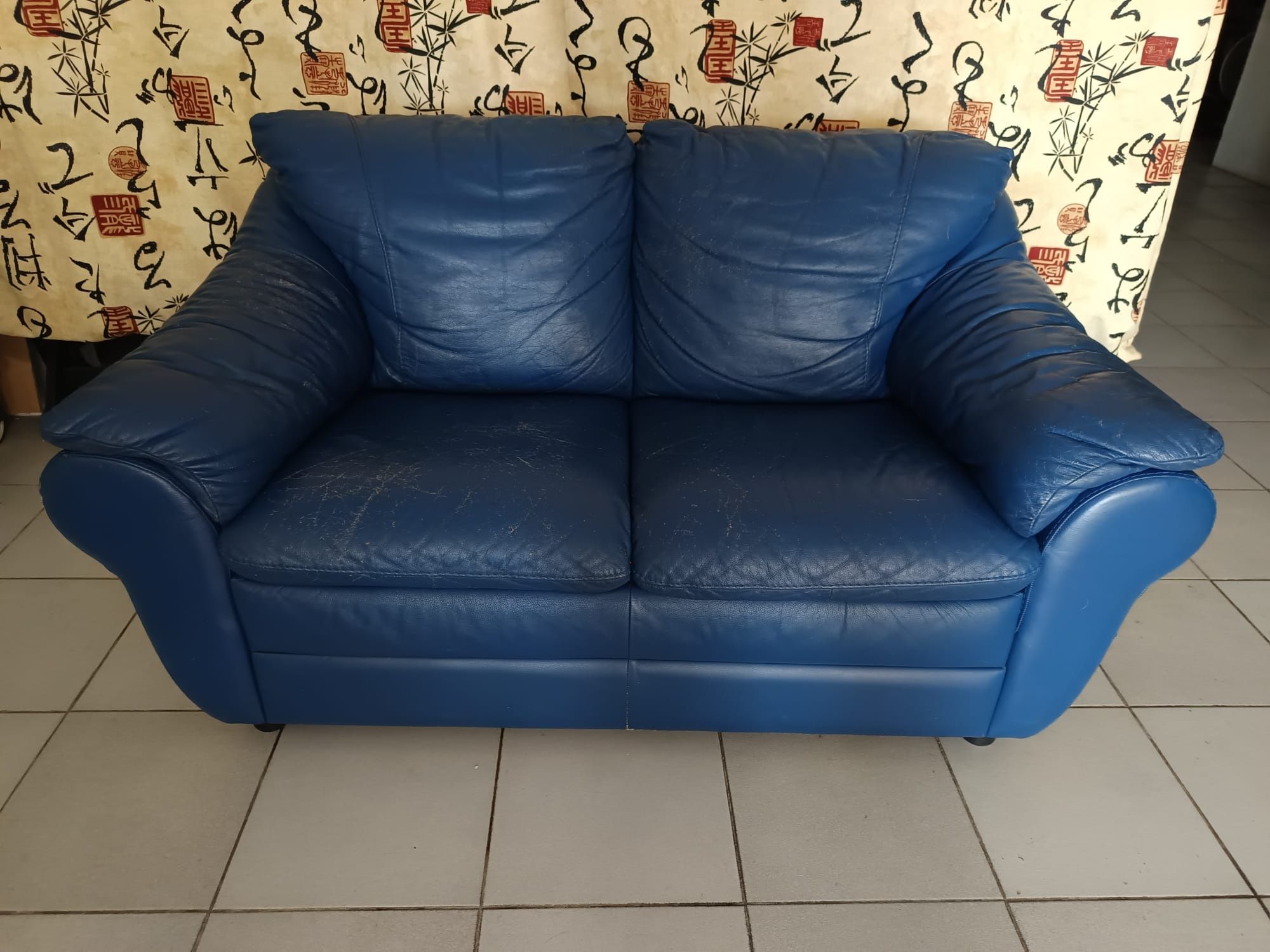Sofá em pele, 2 lugares