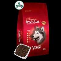 Canun Invictus 20kg karma dla psa jagnięcina (mięso 30%) ryż(25%) ryba