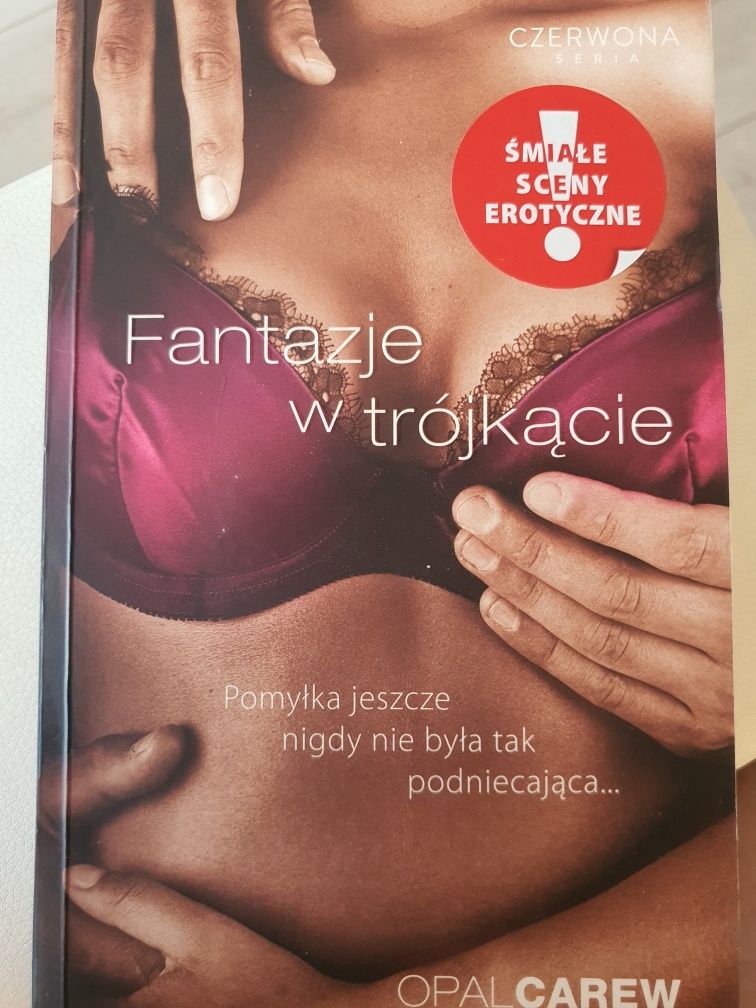 Książka Marina Anderson Saga Mroczny Sekret, Przystań posłuszeństwa