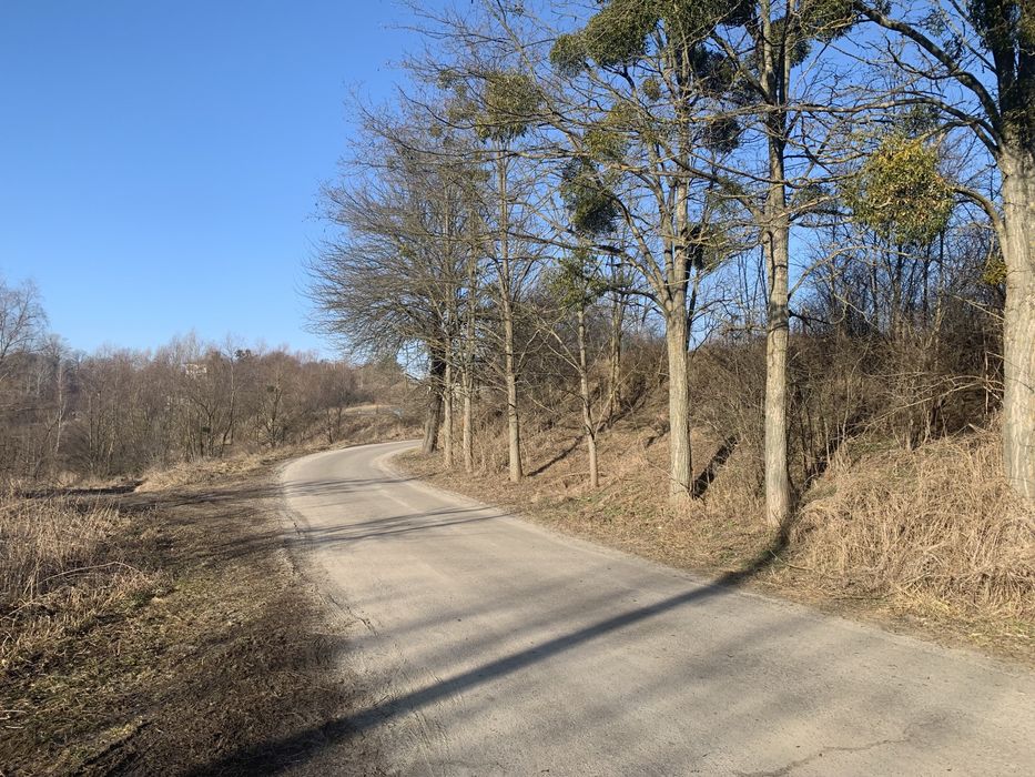 Земельна ділянка с. Рославичі !