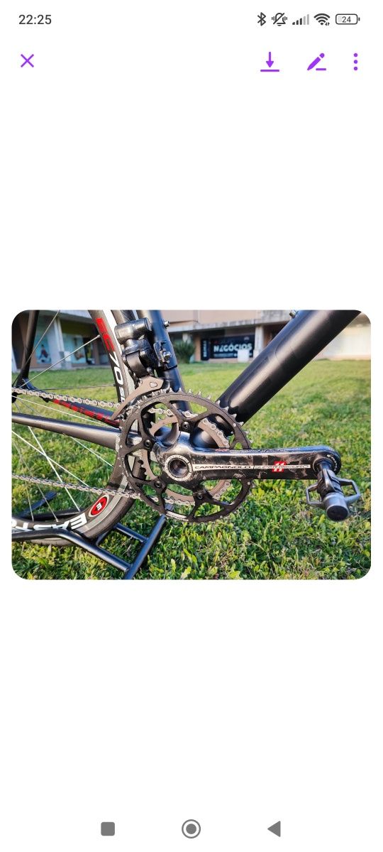 Focus izalco max