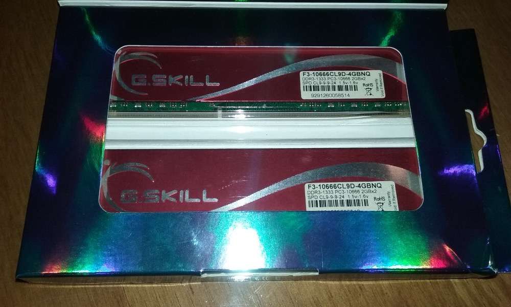 2 x 2GB G.Skill DDR3 (4GB)