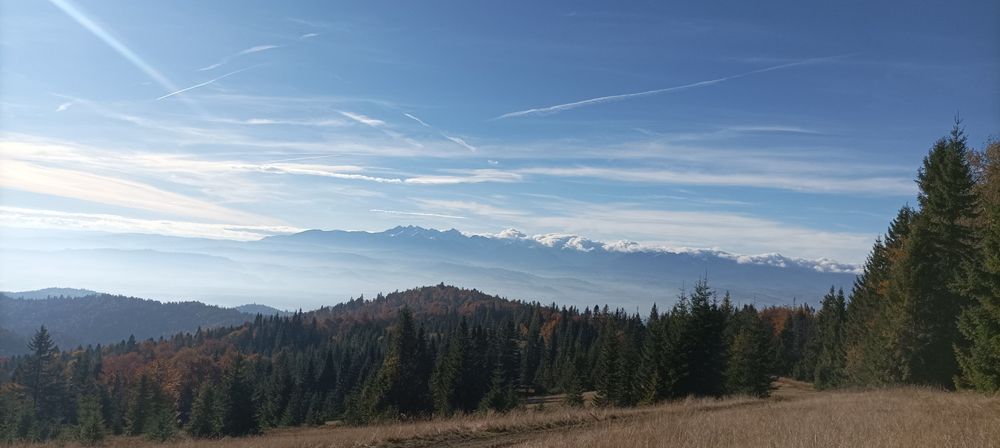 Komin ze stali nierdzewnej