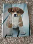 Etui na tablet pies piesek 10 cali
