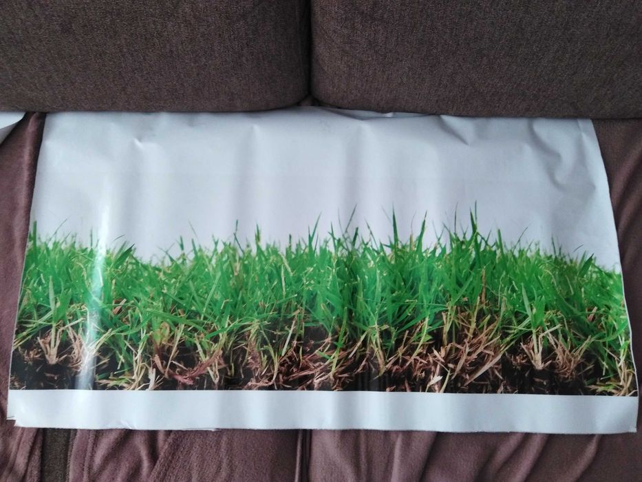 foto tapeta TRAWA naklejka