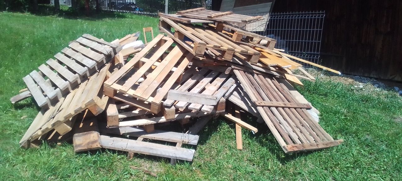 Sprzedam drzewo po cięte i całości