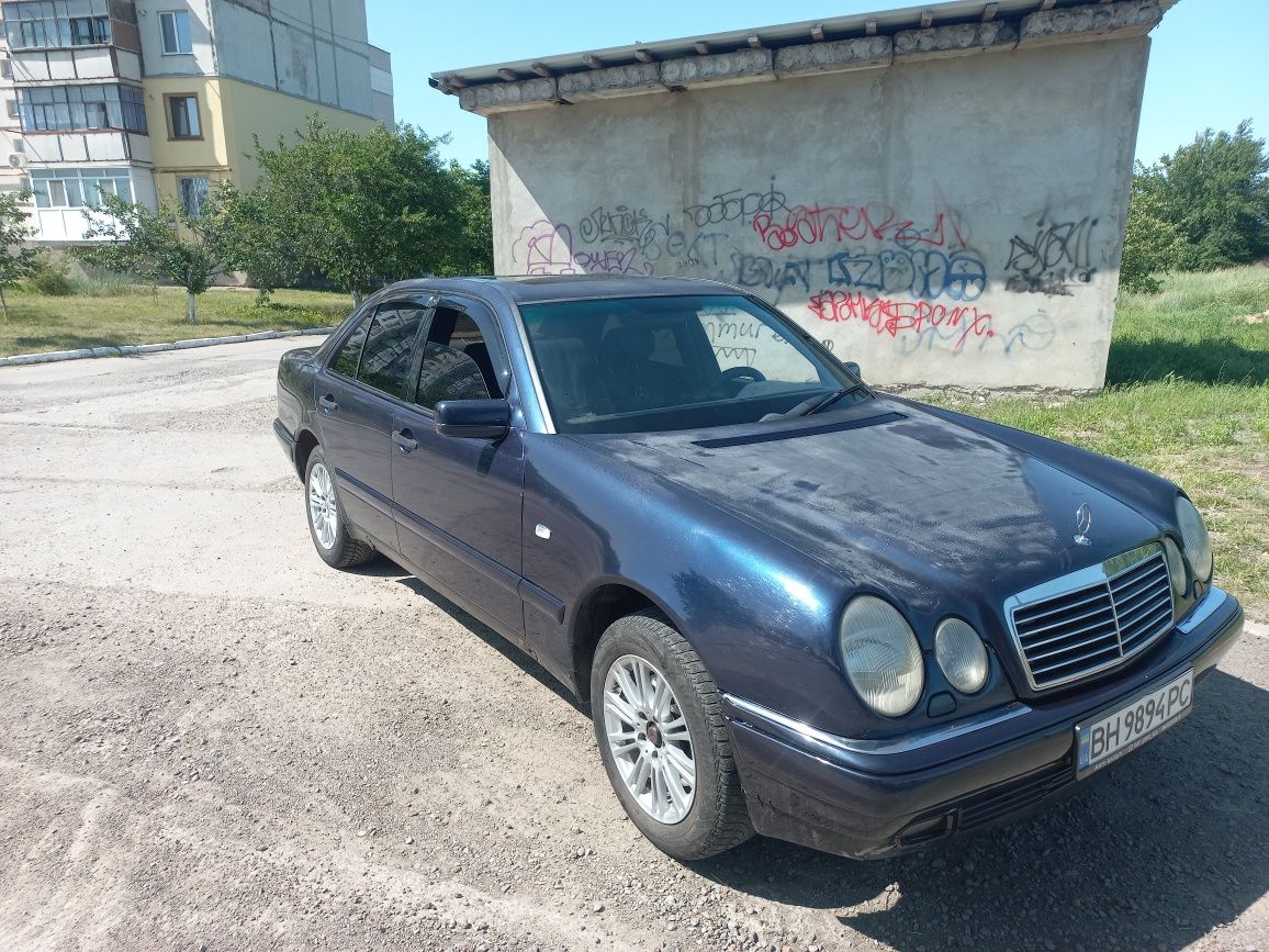 Продам лупатого или обмен.