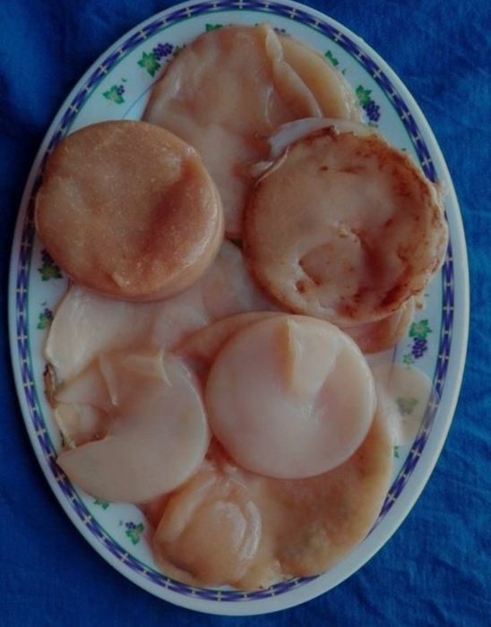 Bolacha Kombucha e Madre de vinagre de sidra