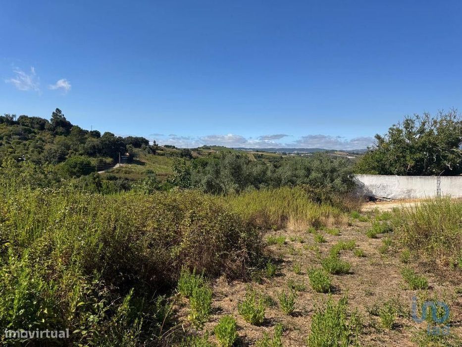 Terreno para construção T6 em Ribafria e Pereiro de Palhacana de 641,0