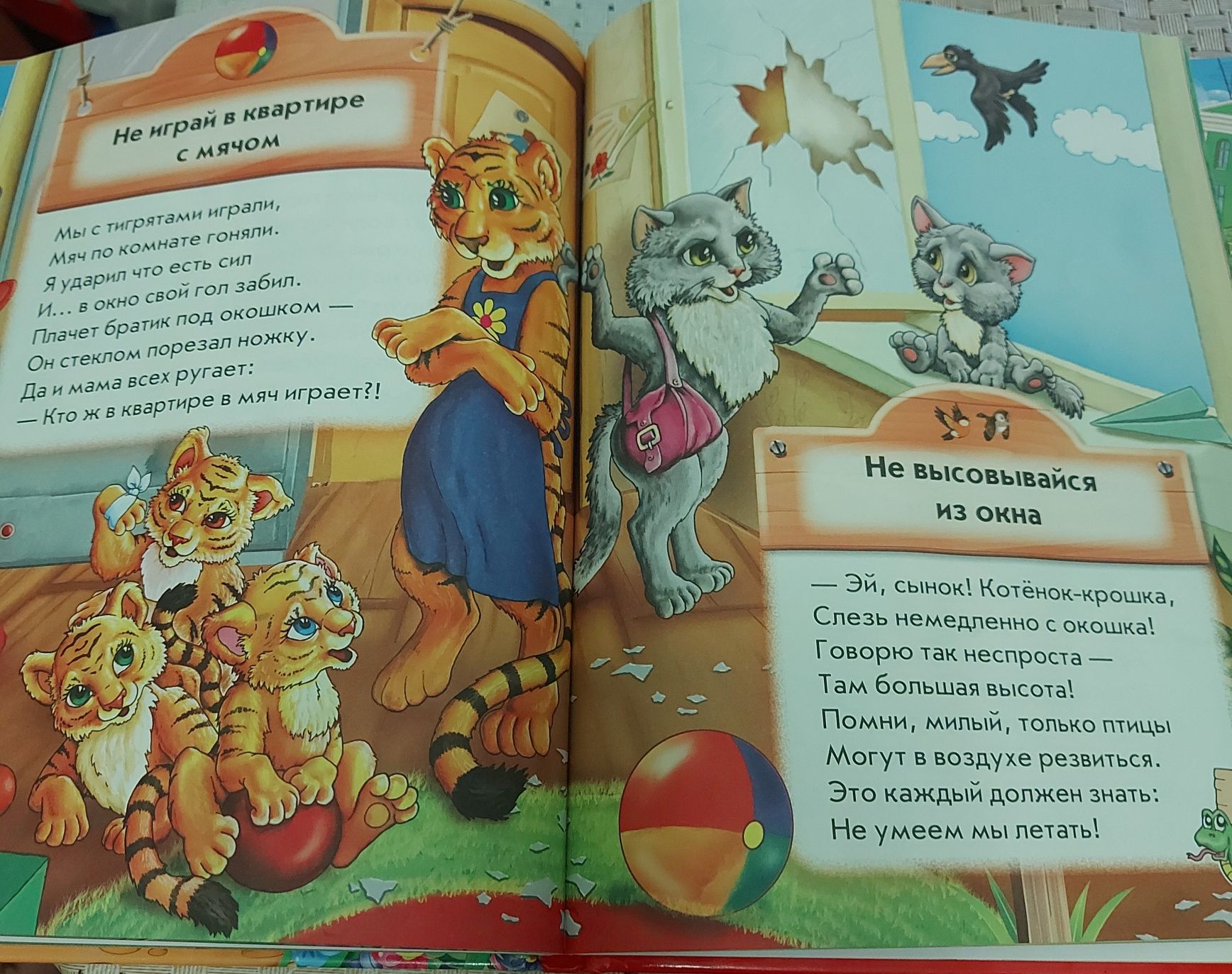 Книга  для  детей