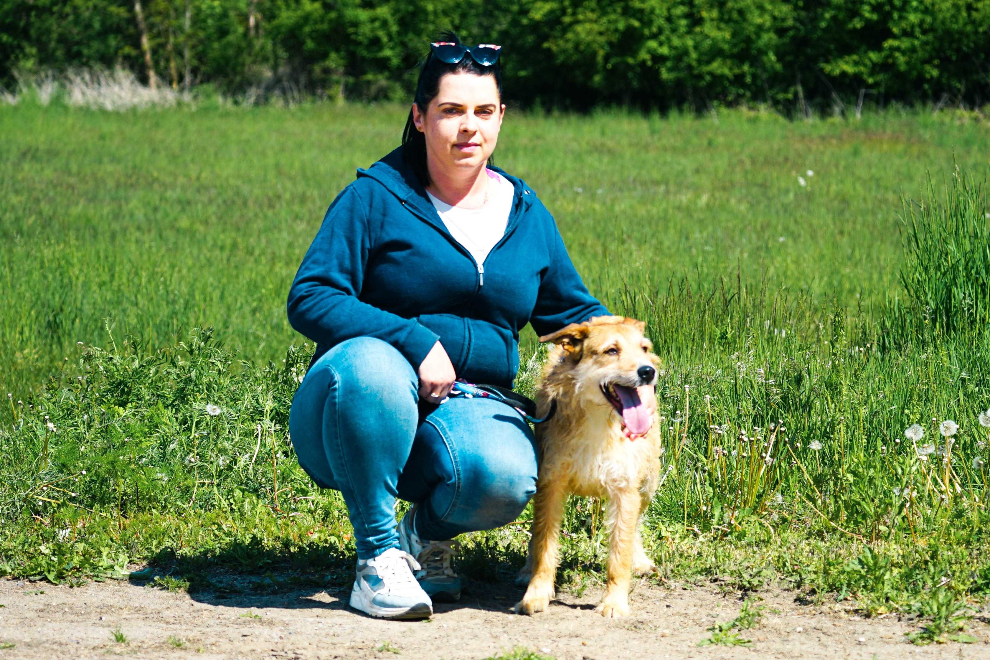 Lorek - genialny, wesoły pies szuka domu