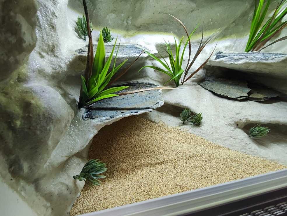 Terrarium pustynne nr543 60/40/40 dla gekona lamparciego NA ZAMÓWIENIE