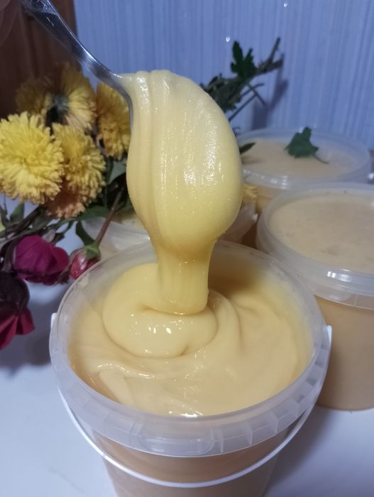 Мед буркун (донник) 2025