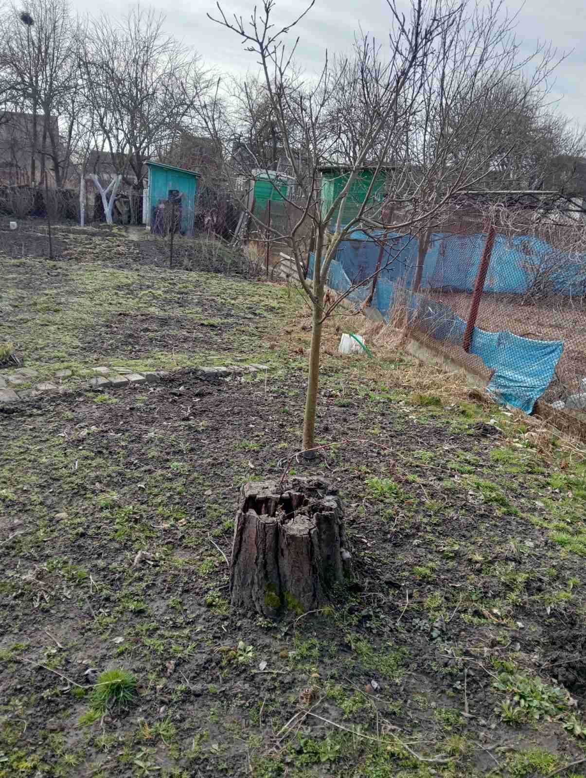 Продам дачу в с. Киїнка