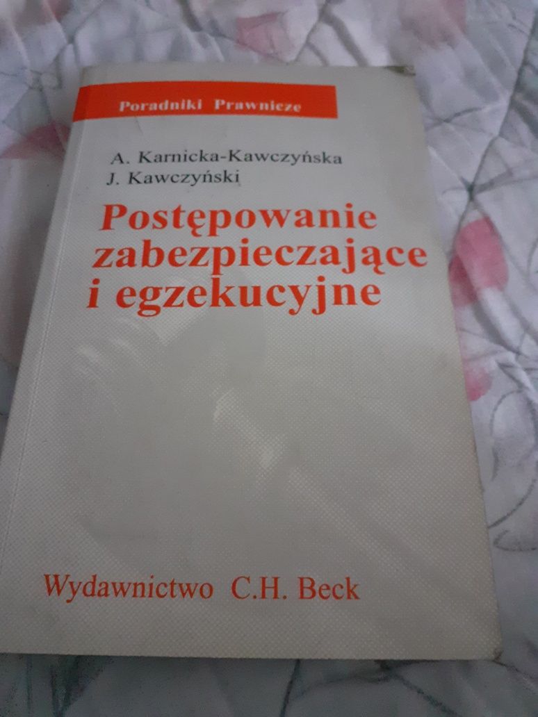 Postępowanie zabezpieczające i egzekucyjne