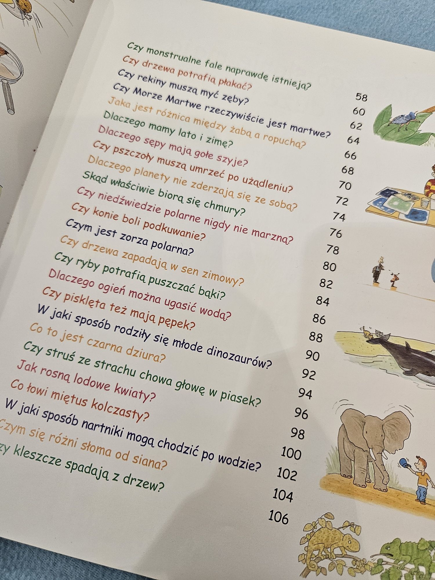Dlaczego zebra ma paski książka