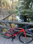 Bmc teammachine srl02