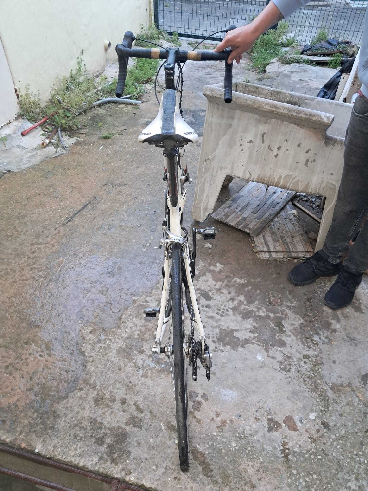 Bicicleta ciclismo Bh carbono