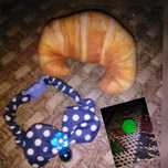 Acessórios para gatos. Coleira+ catnip brinquedo. Oferta de bola