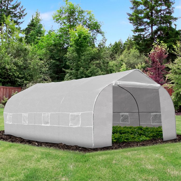 Estufa 6x3x2m — Ideal para Hortas, Plantas Tropicais e Flores