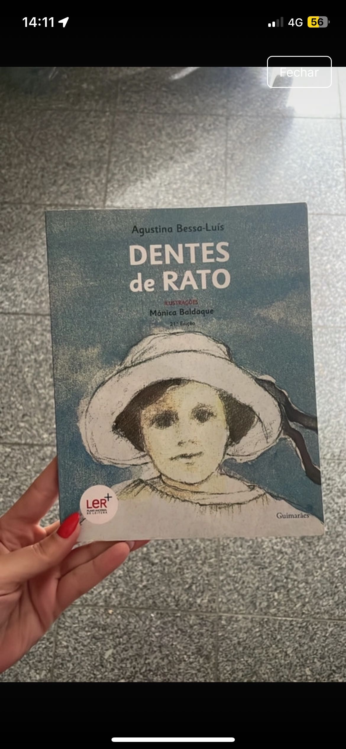 Livro Dentes de leão