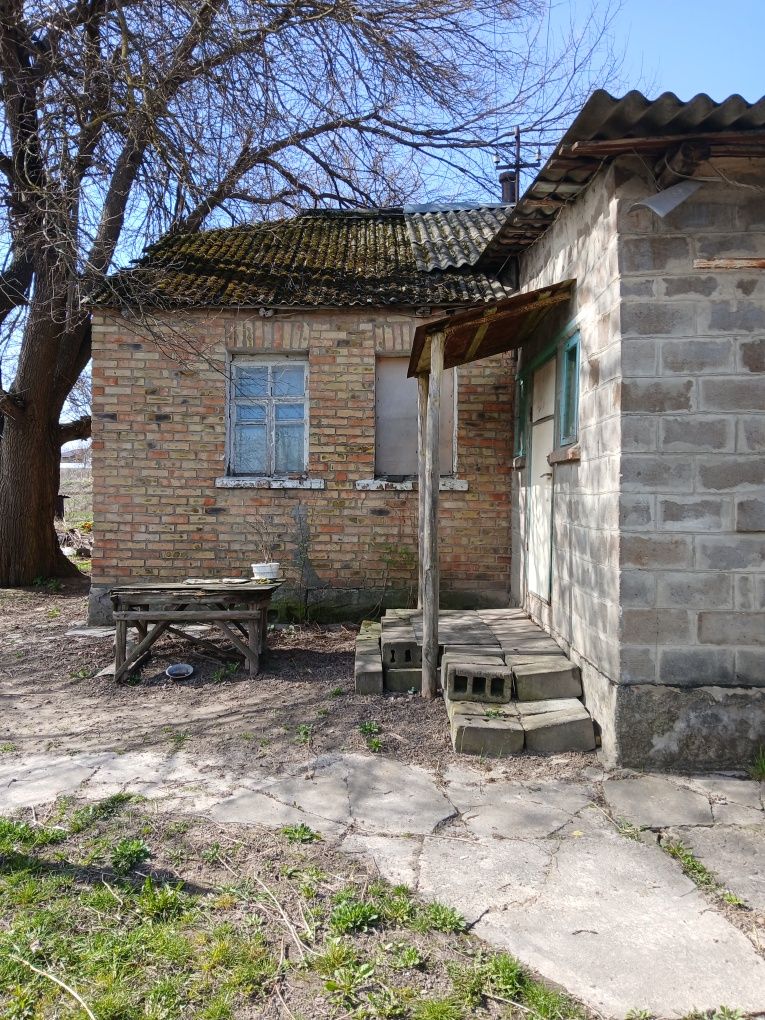 Продається будинок на земельній ділянці  42 сотки в с. Забір'я