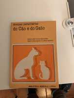 Veterinária