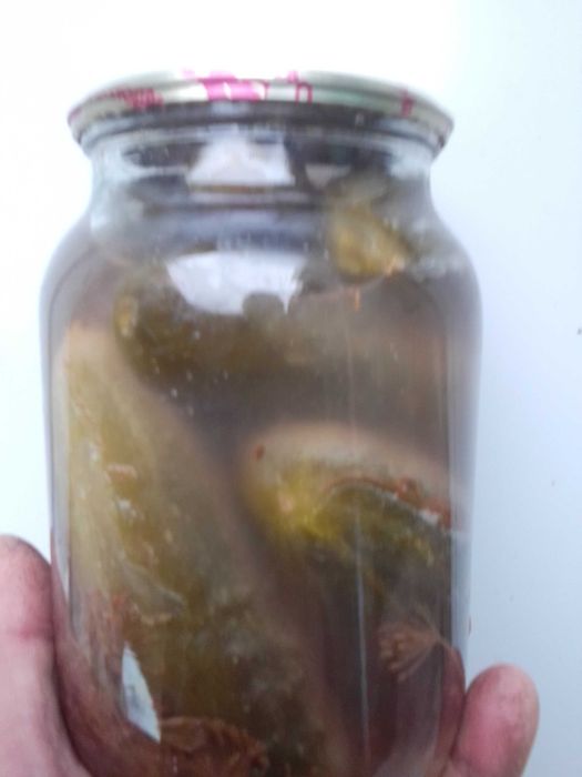 Продукція       домашня