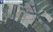 Działka rolna 3500 m² z wodą i lasem | brak podatku | Wójcice