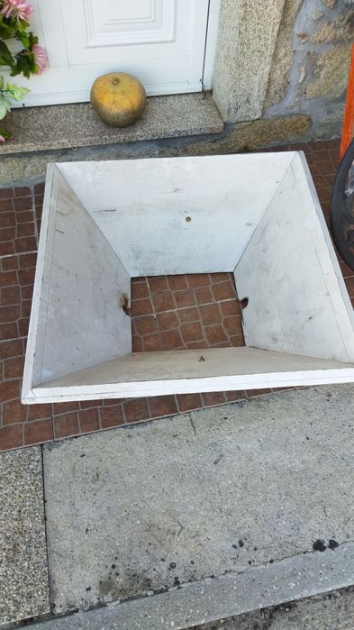 Relador de uvas em bom estado.