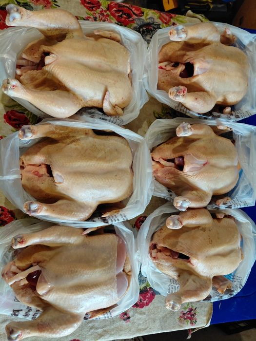 Бройлер домашній 130 гр.