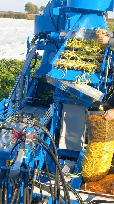 kombajn do fasolka szparagowa bób soja edamame FONTANA