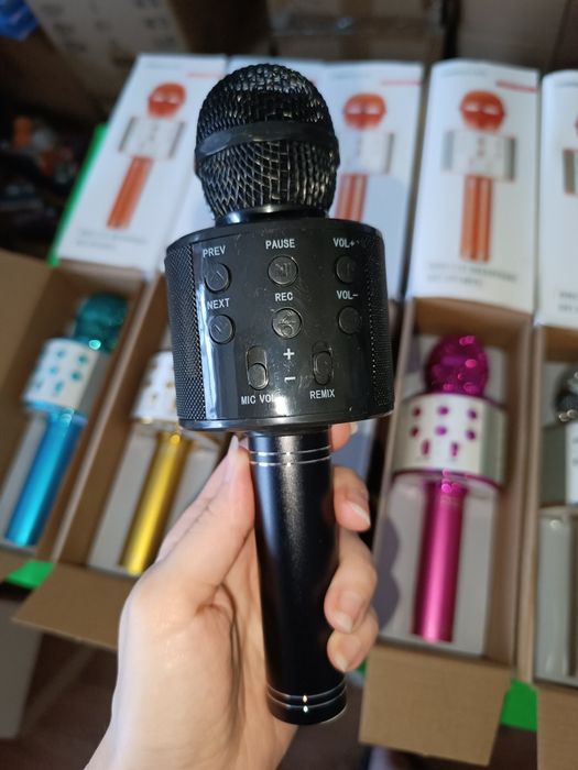 Дитячий портативний мікрофон микрофон детский USB зарядка