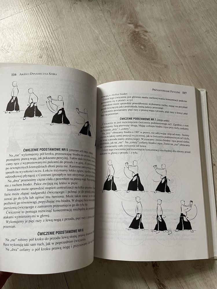 Aikido dynamiczna strefa