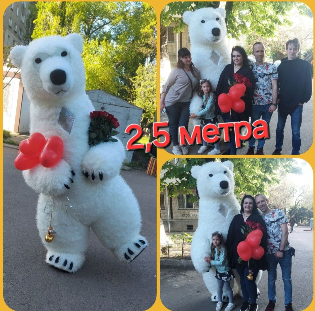 Аниматоры на праздник,Белый Мишка,Панда,Ростовые куклы,Гелевые шары