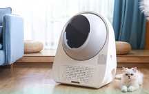 CATLINK inteligentna KUWETA samoczyszcząca DLA KOTA Luxury Version 13L