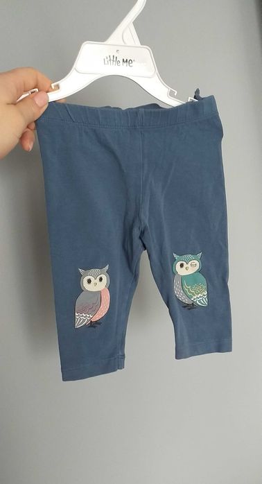 Spodnie legginsy getry spodenki sowy ptaki Lindex 62