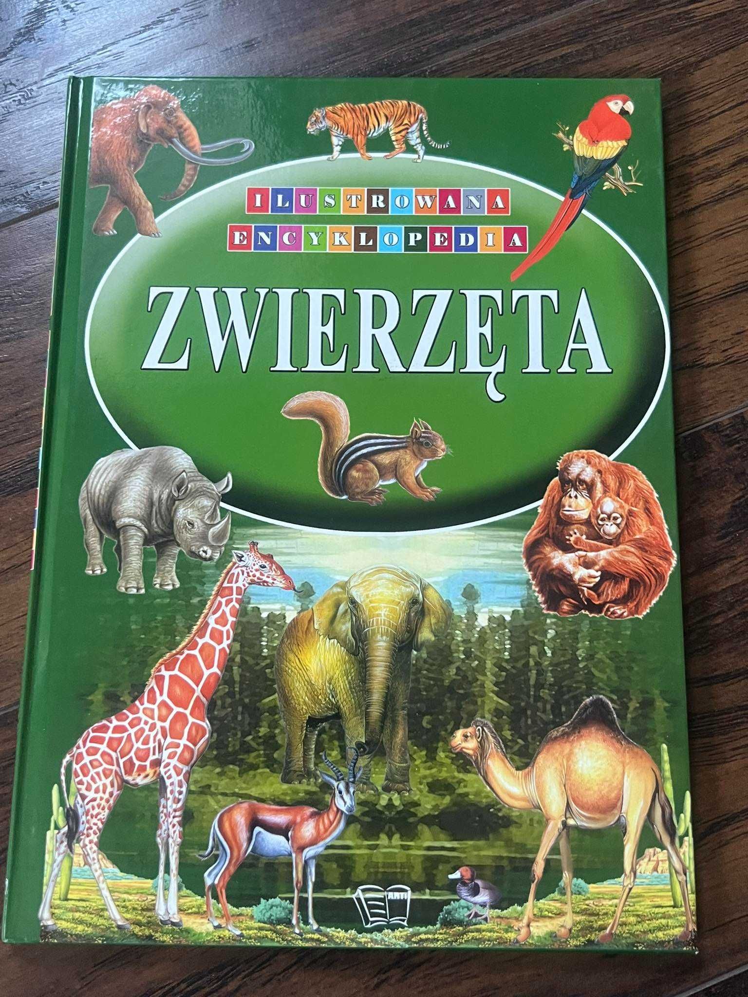 Ilustrowana encyklopedia zwierzęta dla dzieci book książka