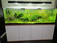 Akwarium 840l 200x60x70