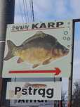 Pyszny Karp z własnego stawu
