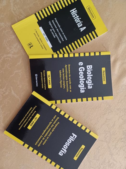 Resumos 10 ano ( como novo/ novo)