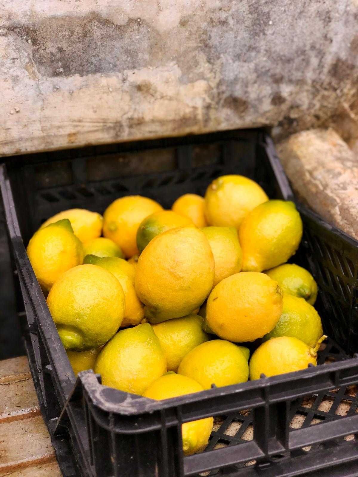 Limão 100% Natural | Produção Própria em Portugal
