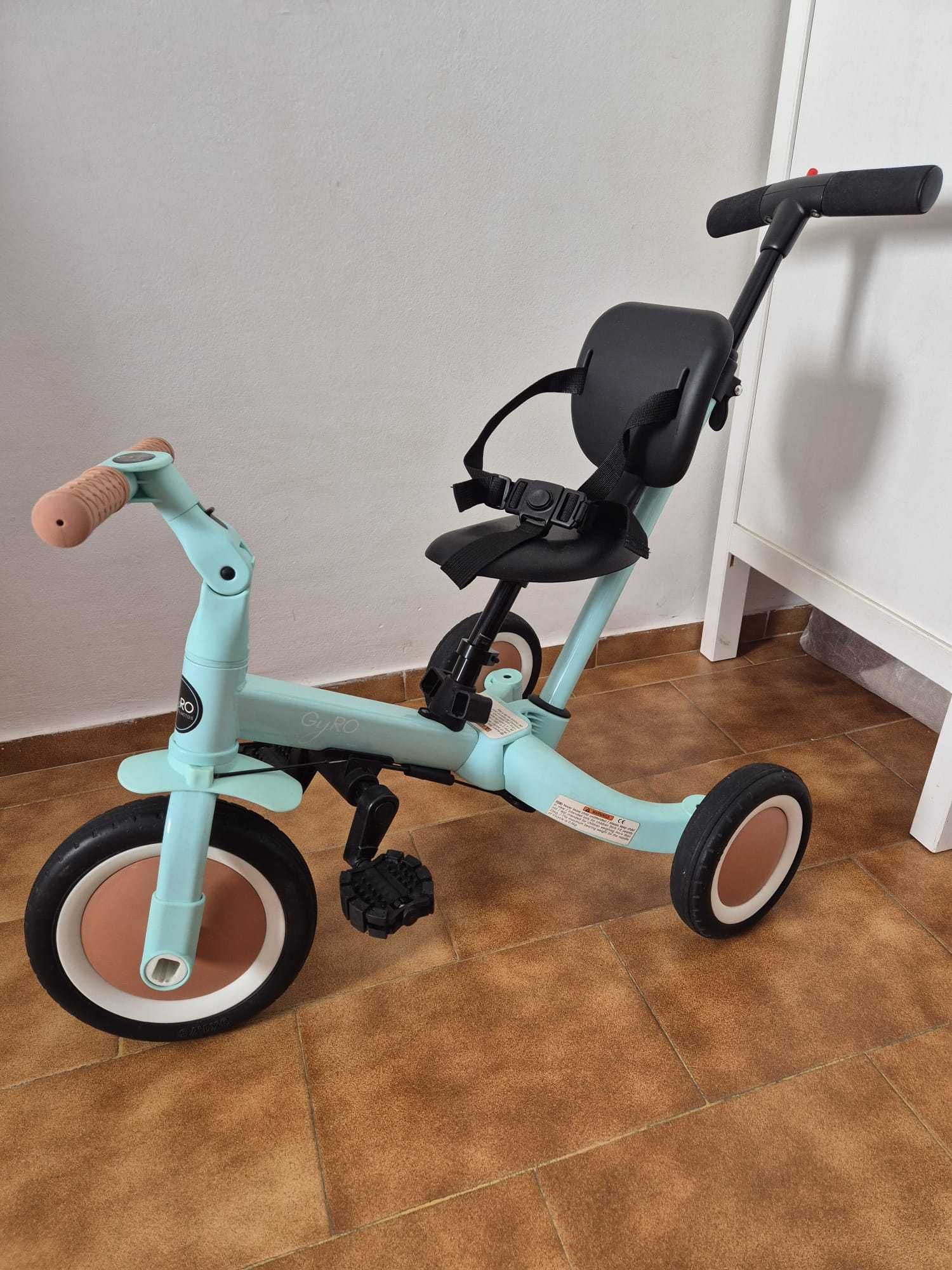 Bicicleta Evolutiva 5 em 1. Facilita a Aprendizagem!