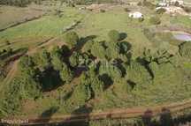Terreno Rústico com 18.420m2 nos Campilhos, S.B.Messines