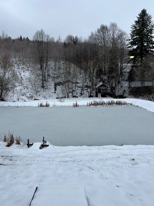 Оренда будинок в Карпатах, на зиму - Різдво, Новий Рік