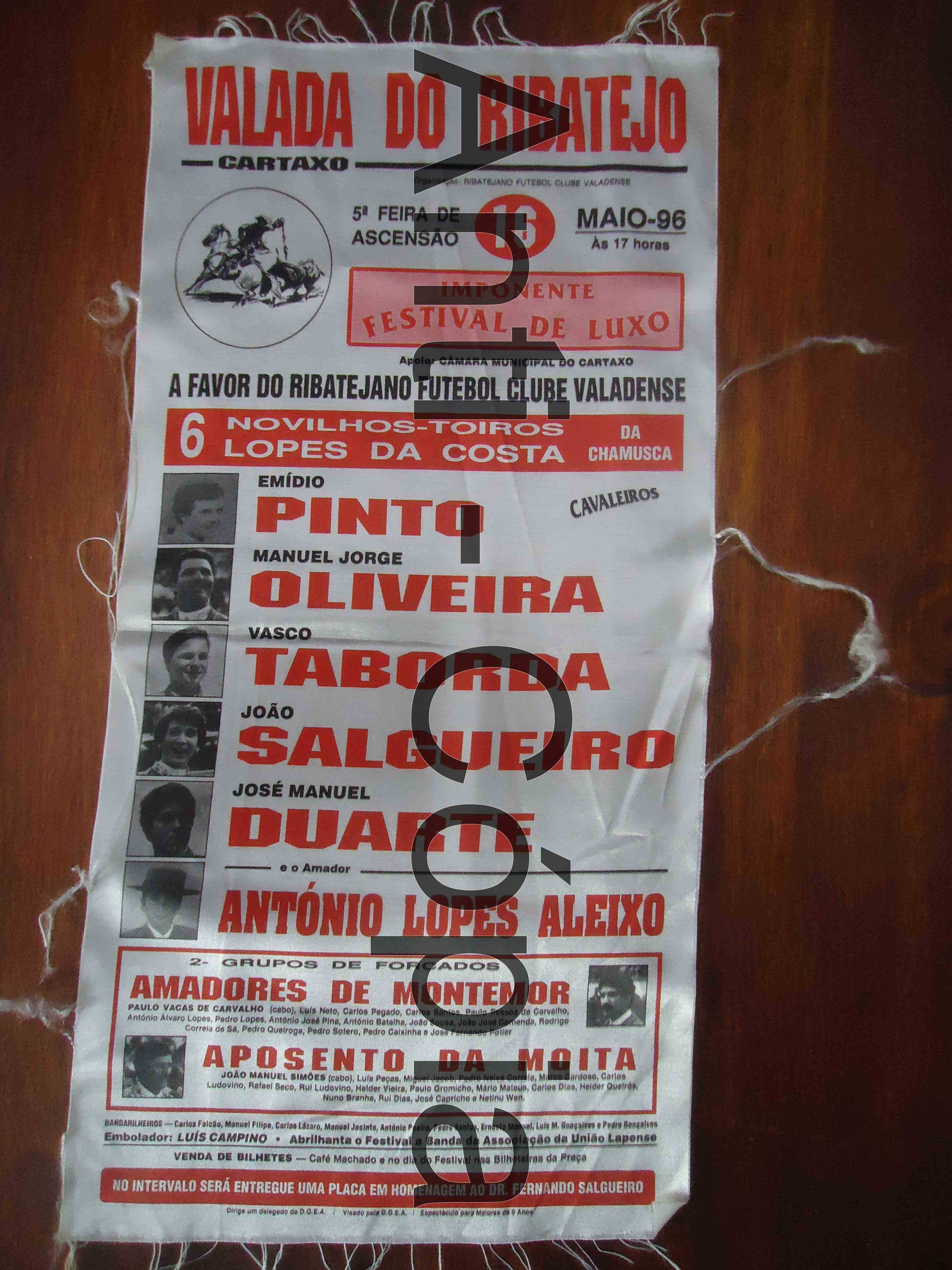 Toiros - Programas em Seda 6