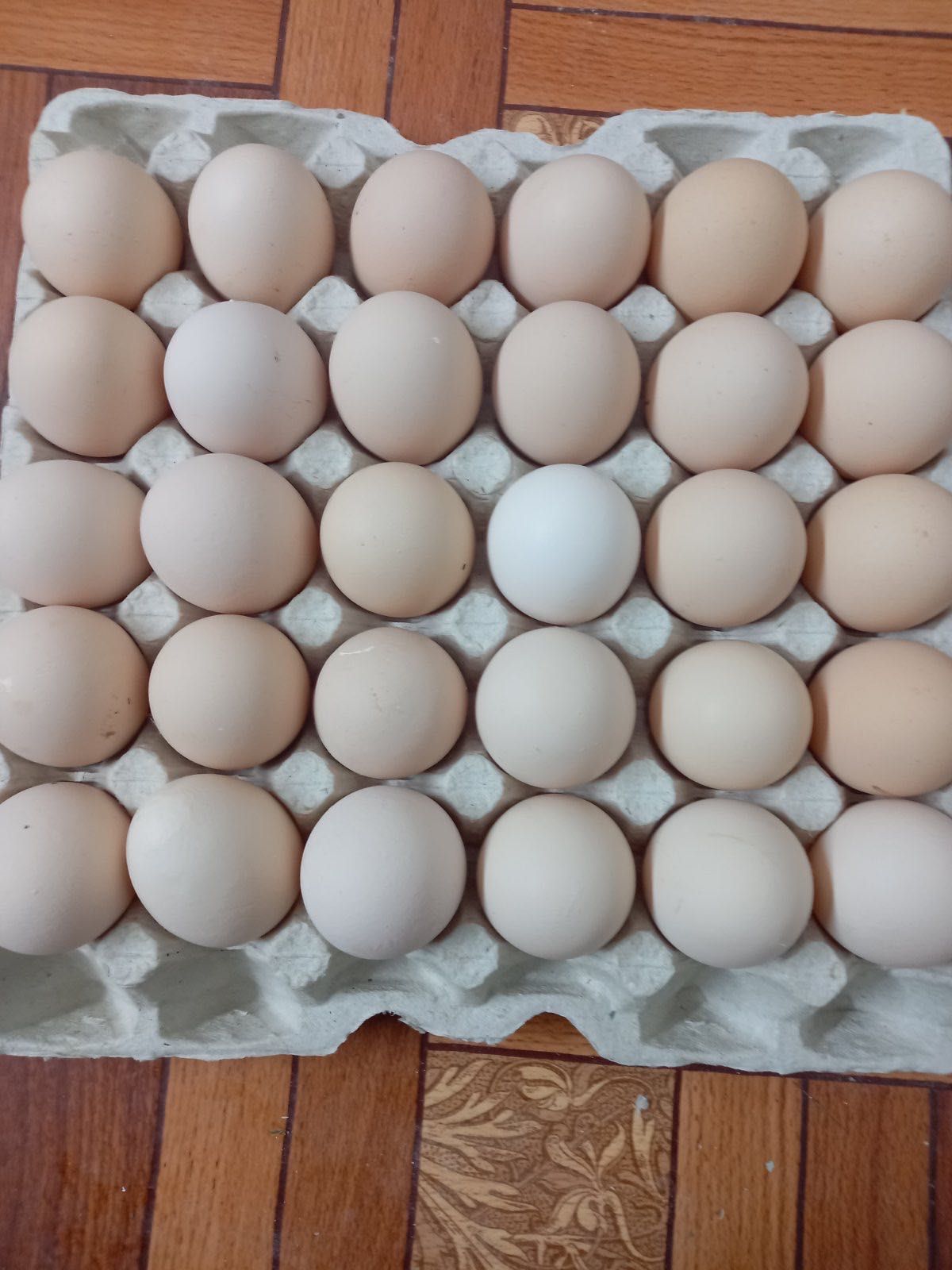 Куриные яйца из птицефермы