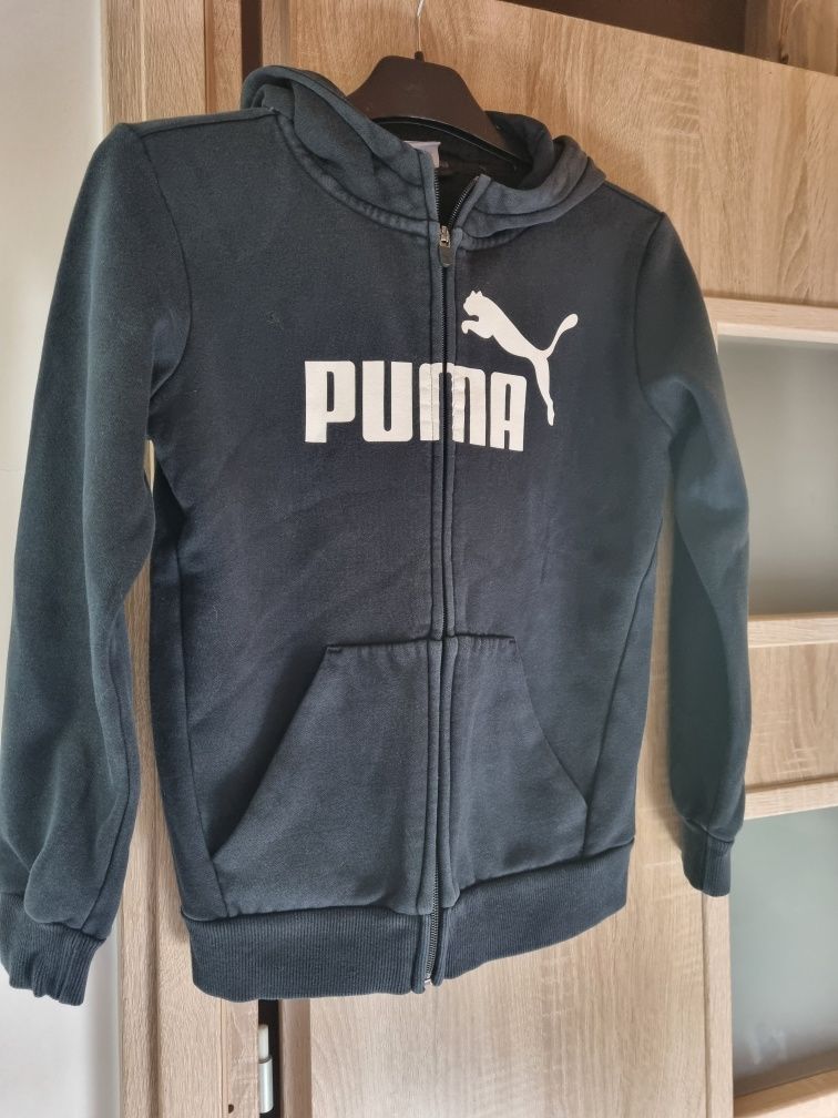 Bluza PUMA idealny stan, rozmiar 152