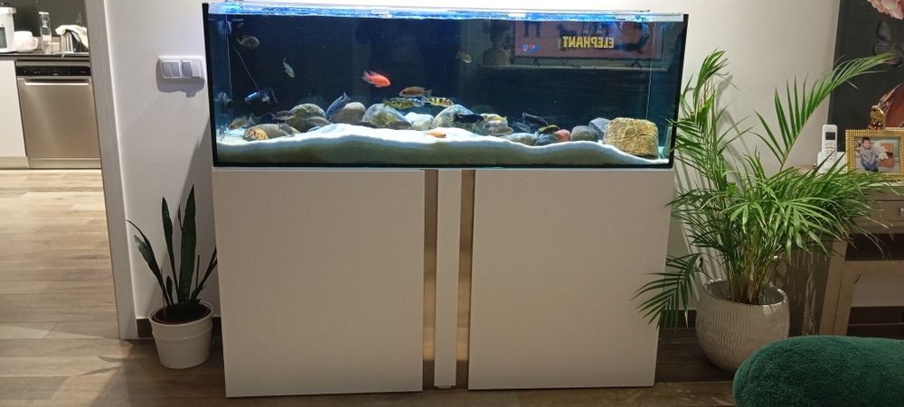 Aquário, móvel e filtro